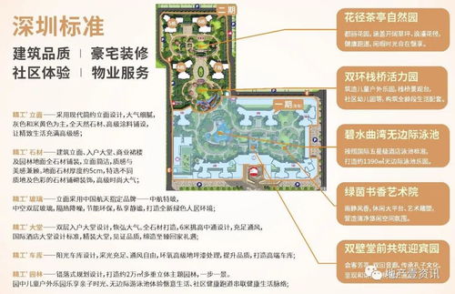 惠州旅游，警惕“美丽陷阱” 揭秘常见套路与理性规划指南